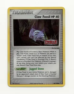 Claw Fossil