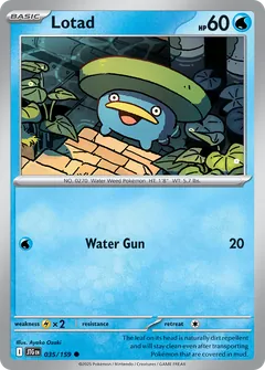 Lotad