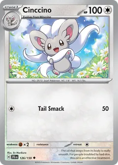 Cinccino
