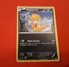 Scraggy