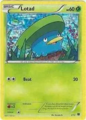 Lotad