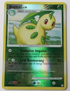 Bayleef