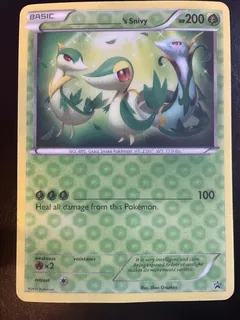 's Snivy