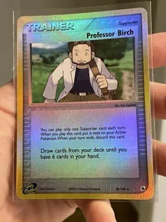Professor Birch