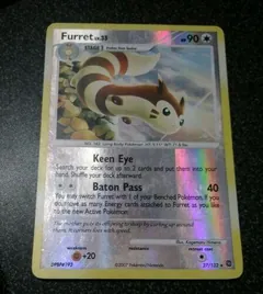 Furret