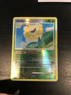 Sunflora