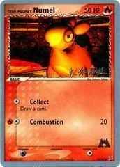 Team Magma's Numel (Worlds 2004, T. Yamato)