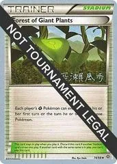 Forest Of Giant Plants (Worlds 2017)