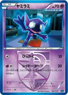 Team Plasma Battle Gift Set