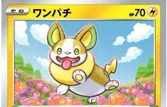 Yamper