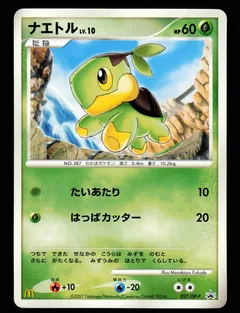 Turtwig