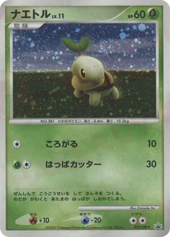 Turtwig