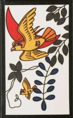 Pidgeot, Pidgey (April)