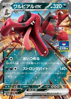 Krookodile Ex [Gym]