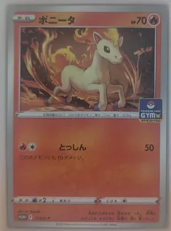 Ponyta