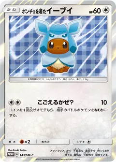 Poncho-Wearing Eevee