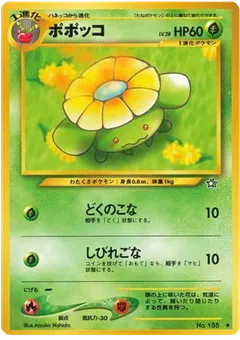 Skiploom
