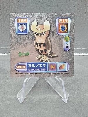 Noctowl